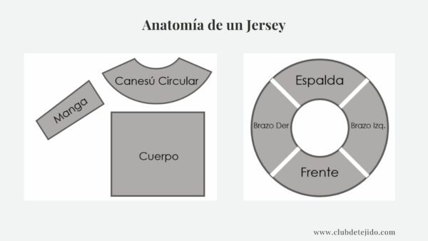 construcción y anatomía de un jersey top down
